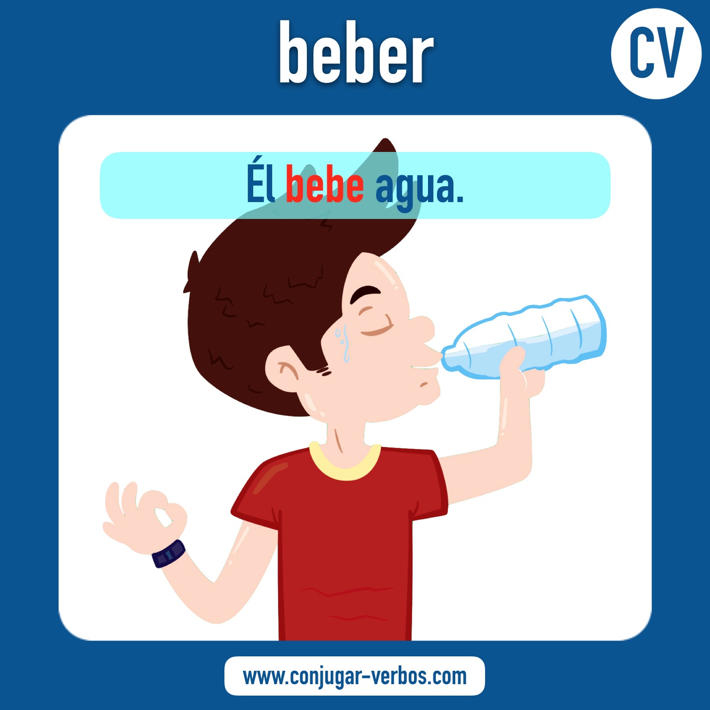 verbo beber | beber | imagen del verbo beber | conjugacion del verbo beber